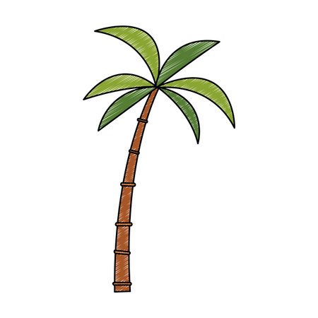 Palm tree isolated vector illustration graphic designのイラスト素材