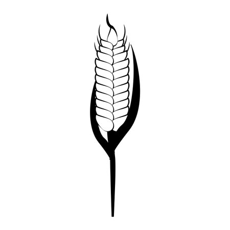 Wheat food symbol vector illustration graphic designのイラスト素材