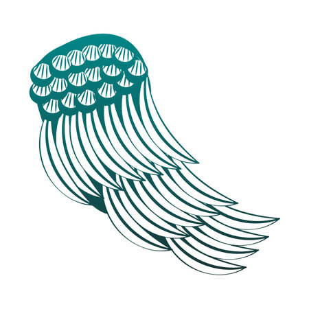 Bird wings isolated vector illustration graphic designのイラスト素材