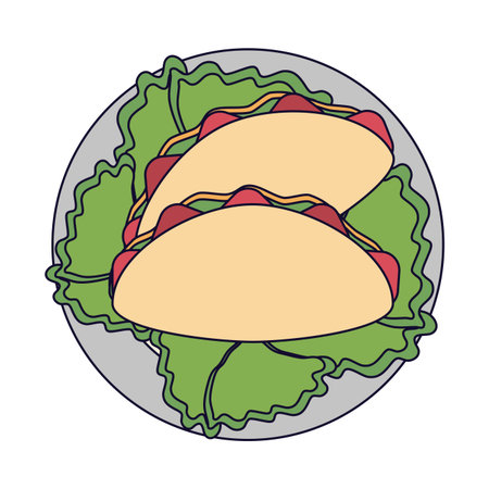 Burritos on dish with lettuce vector illustration graphic designのイラスト素材