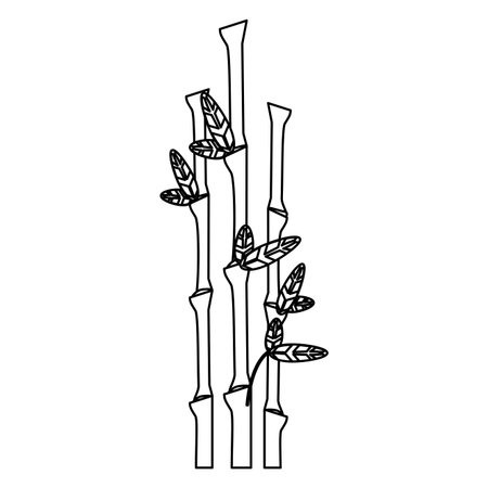 Bamboo asian plant isolated vector illustration graphic designのイラスト素材