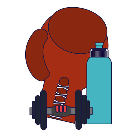Gym and fitness boxing glove dumbbell and bottle elements vector illustration graphic designのイラスト素材