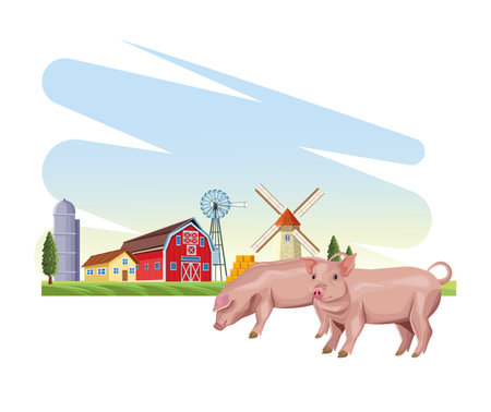 Pigs farm animal over landscape vector illustration graphic designのイラスト素材