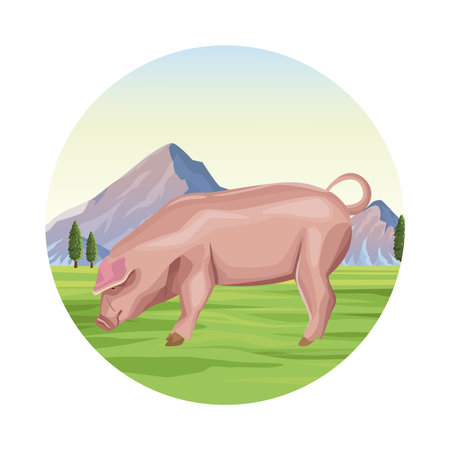 Pig farm animal over landscape vector illustration graphic designのイラスト素材