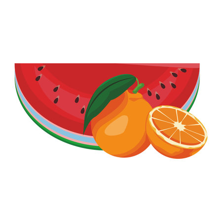 orange with watermelon colorful in white background vector illustration graphic designのイラスト素材