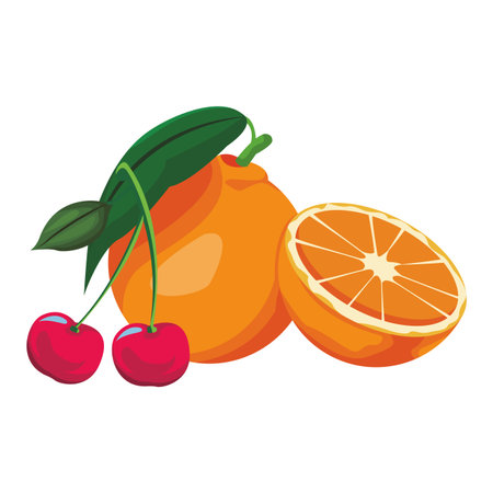 orange with cherries colorful in white background vector illustration graphic designのイラスト素材