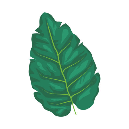 palm leaf icon isolated colorful vector illustration graphic designのイラスト素材