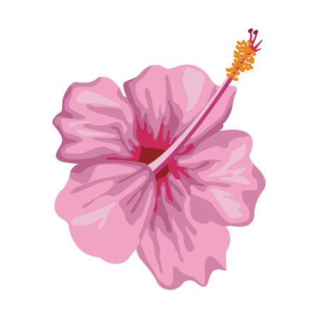 orchid tropical icon isolated colorful in white background vector illustration graphic designのイラスト素材