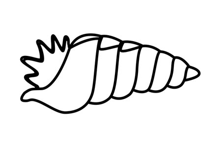 sea shells icon isolated drawing in white background vector illustration graphic designのイラスト素材