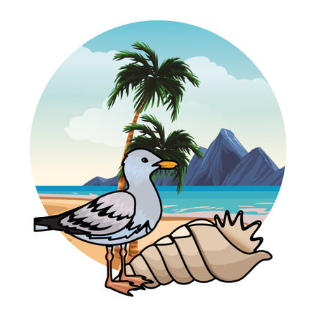 seagull at beach with palm and seashell seascape round icon colorful vector illustration graphic designのイラスト素材