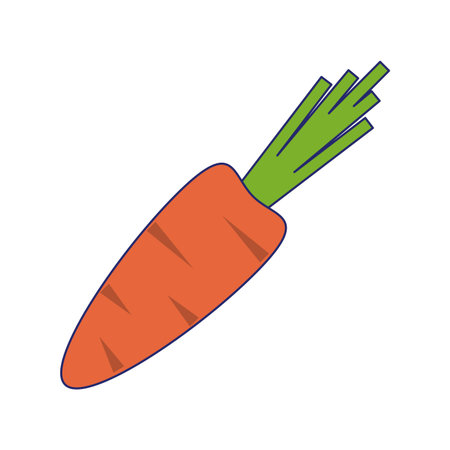 Carrot vegetables food isolated vector illustration graphic designのイラスト素材