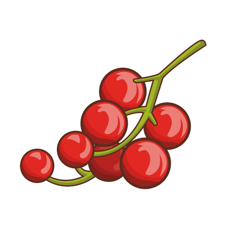 delicious and fresh fruit cartoon vector illustration graphic designのイラスト素材