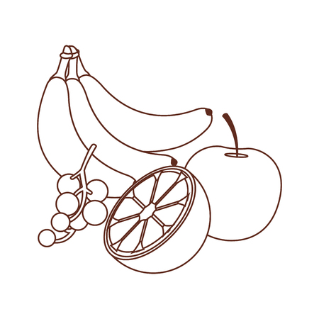 delicious and fresh fruit cartoon vector illustration graphic designのイラスト素材