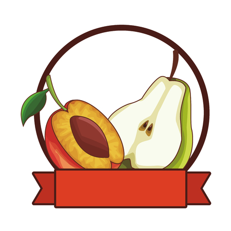 delicious and fresh fruit cartoon vector illustration graphic designのイラスト素材