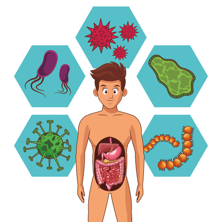 young human body anatomy cartoon vector illustration graphic designのイラスト素材