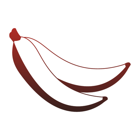 Delicious bananas fruits vector illustration graphic designのイラスト素材