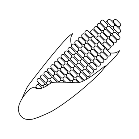 corn fresh vegetable cartoon vector illustration graphic designのイラスト素材