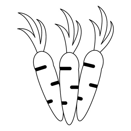 Vegetables carrots food symbol vector illustration graphic designのイラスト素材