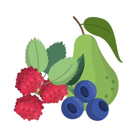 fruits healthy and fresh food vector illustration graphic designのイラスト素材