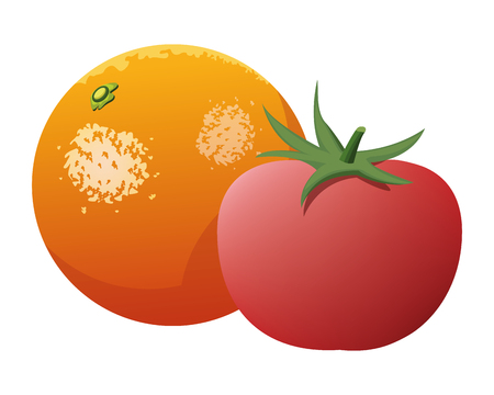 orange and tomato icon cartoon isolated vector illustration graphic designのイラスト素材