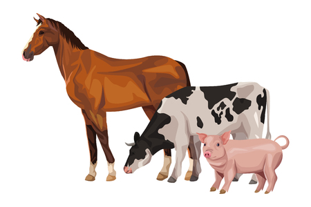 horse cow and pig icon cartoon vector illustration graphic designのイラスト素材