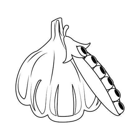 Garlic fresh vegetable isolated vector illustration graphic designのイラスト素材