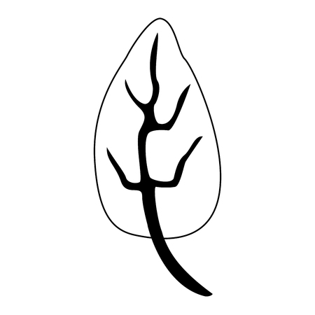 Spinach leaf herbal nature vector illustration graphic designのイラスト素材