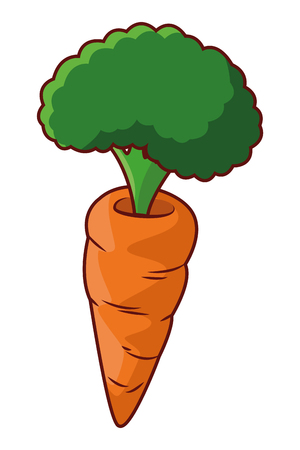 Carrot food vegetable healthy natural nutrition vegetarian salad ingredient isolated vector illustration graphic designのイラスト素材