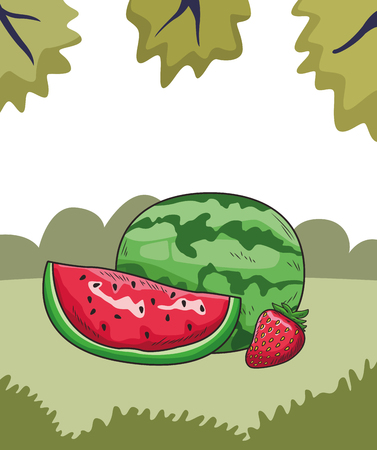Fresh fruit nutrition healthy grouped watermelon and strawberry fitness diet options nature leaves background frame vector illustration graphic designのイラスト素材