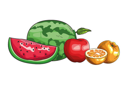 Fresh fruit nutrition healthy grouped colorful watermelon apple and orange fitness diet options drawing vector illustration graphic designのイラスト素材