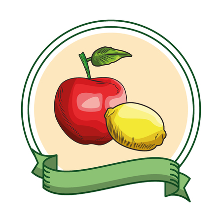 Fresh fruit nutrition healthy grouped colorful apple and lemon fitness diet options drawing round frame ribbon banner vector illustration graphic designのイラスト素材