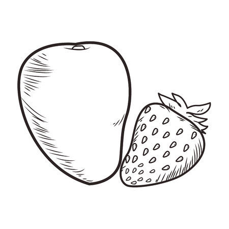Fresh fruit nutrition healthy mango and strawberry food and fitness diet options black and white vector illustration graphic designのイラスト素材