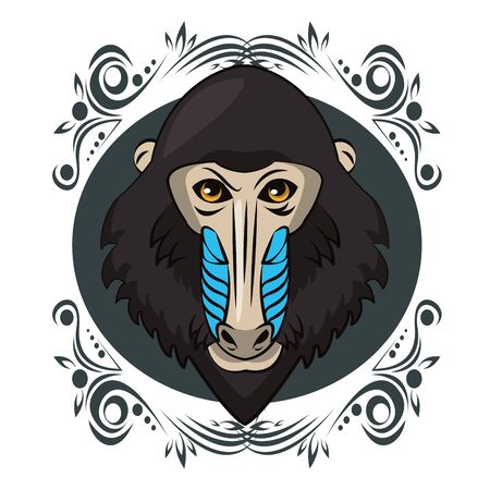 Mandrill face cool sketch on antique round frame vector illustration graphic designのイラスト素材