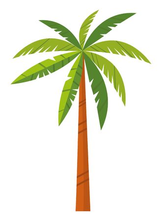 Palm beach tree nature cartoon vector illustration graphic designのイラスト素材