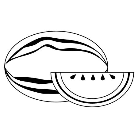 Watermelon fresh fruit cartoon vector illustration graphic designのイラスト素材