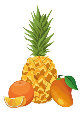 Fresh and delicious tropical pineapple orange and mango fruits vector illustration graphic designのイラスト素材