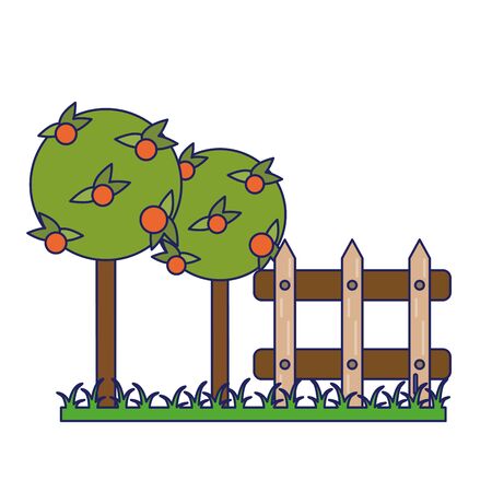 Garden with oranges trees and fenceのイラスト素材