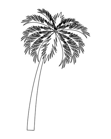 Tropical vegetation vacation and exploration beach palm tree nature black and white vector illustration graphic designのイラスト素材