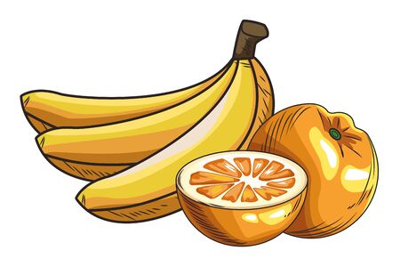 Fresh fruit nutrition healthy grouped bananas and orange fitness diet options vector illustration graphic designのイラスト素材