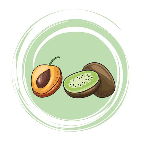 Fresh fruit nutrition healthy grouped peach and kiwi fitness diet options round splash frame vector illustration graphic designのイラスト素材