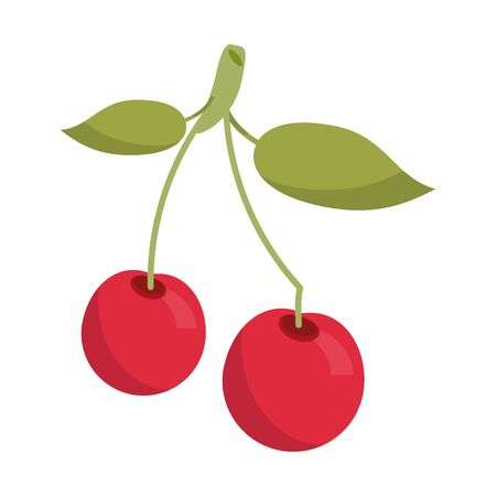Cherry fruit fresh food isolated vector illustration graphic designのイラスト素材