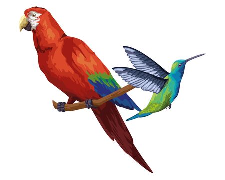 beautiful wild birds macaw over a branch and a hummingbird icon cartoon vector illustration graphic designのイラスト素材