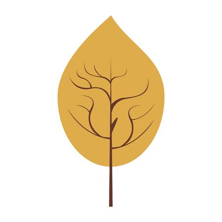 Autumn leaf season nature cartoon symbol vector illustration graphic designのイラスト素材