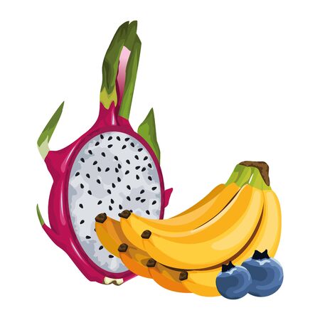 exotic tropical fruit with banana cluster, pitahaya and bluberries icon cartoon vector illustration graphic designのイラスト素材