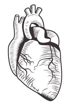 realistic heart drawn in black and white tattoo icon vector illustration graphic designのイラスト素材