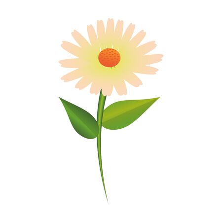 flower tropical spring white floral cartoon vector illustration graphic designのイラスト素材