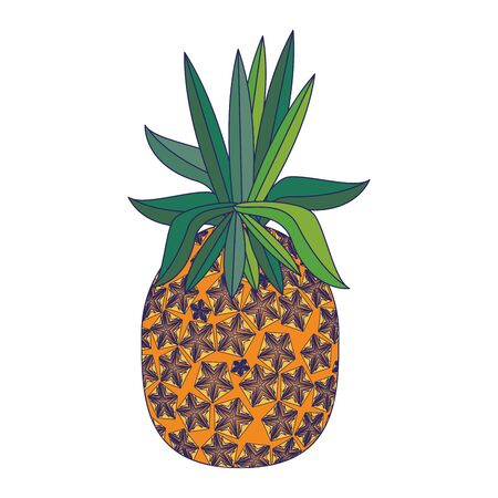 delicious tropical fruit pineapple icon cartoon vector illustration graphic designのイラスト素材