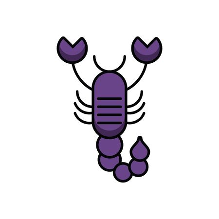 scorpion insect animal isolated icon vector illustration designのイラスト素材