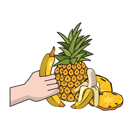 pineapple and banana fruits over white background, colorful design. vector illustrationのイラスト素材