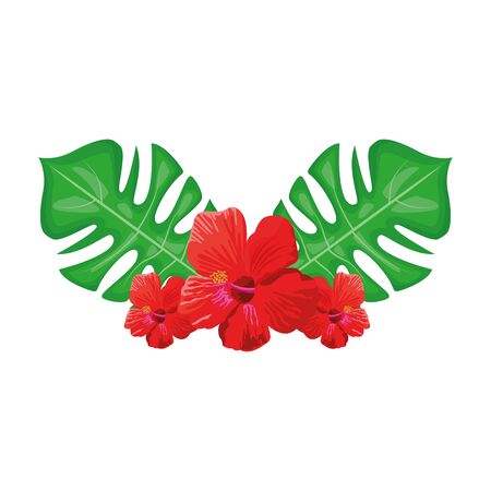 tropical flowers and leaves over white background, vector illustrationのイラスト素材